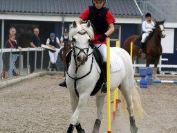 2012 Sommerturnering